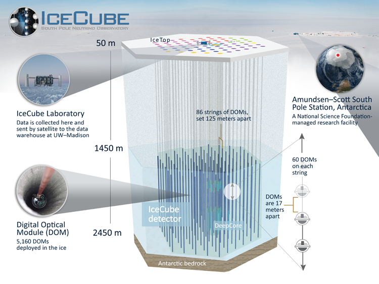 The IceCube detector